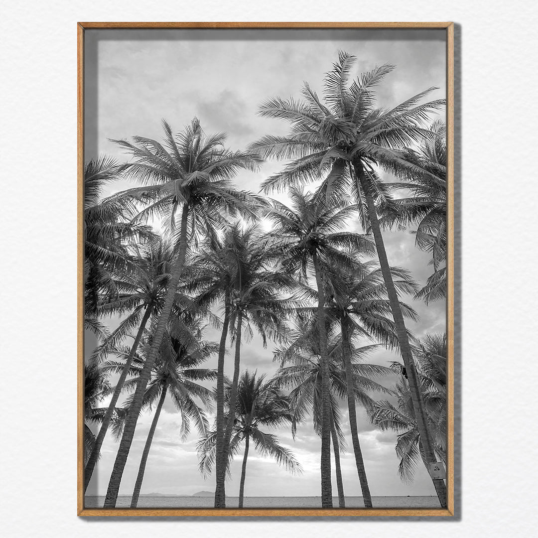 Canvas Palms