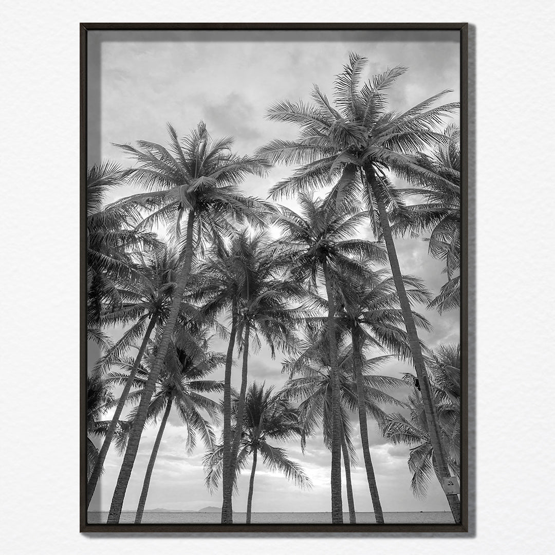 Canvas Palms